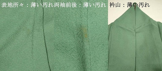 平和屋着物■伝統工芸師　服部光擴　江戸小紋　鮫小紋柄　正絹　逸品　DABK9790cd