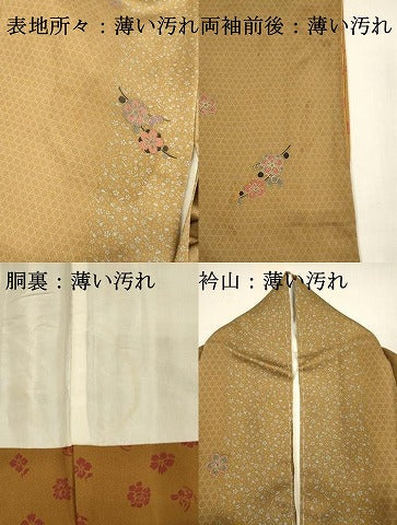 平和屋着物■上質な小紋　枝花　金彩　正絹　逸品　DABK9791cd