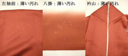 平和屋着物■訪問着　絞り　草花文　金彩　正絹　逸品　DABK9803cd