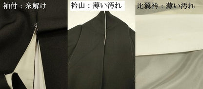 平和屋着物■豪華黒留袖　作家物　流水枝梅文　金彩　正絹　逸品　DABL0003qp