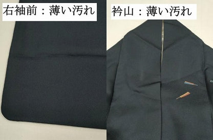 平和屋着物■訪問着　作家物　舞扇花文　七宝　暈し染め　金彩　鈴乃屋扱い　正絹　逸品　DABL0011qp