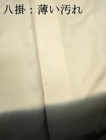 平和屋着物■上質な小紋　小花尽くし　正絹　逸品　DABL0711ya