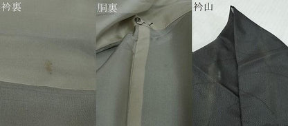 平和屋着物●本場縞大島紬　訪問着　染大島　松皮菱草花文　正絹　逸品　DABL1046ud