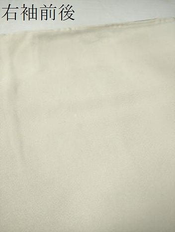 平和屋着物●訪問着　枝松文　正絹　逸品　DABL1057ud