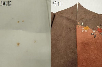 平和屋着物●訪問着　駒刺繍　鼓草花文　金彩　正絹　逸品　DABL1064ud