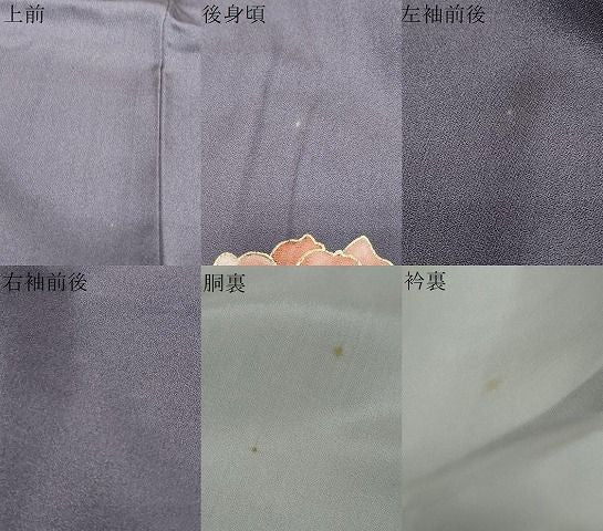 平和屋着物●訪問着　舞花文　金彩　正絹　逸品　DABL1146ud