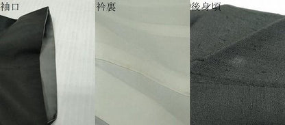平和屋着物●京の名門・菱屋六右ェ門　紬　色留訪問着　風神雷神　暈し染め　黒地　金彩　ますいわ屋扱い　正絹　逸品　DABL1199ud