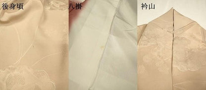 平和屋着物▼上質な小紋　地紋起こし　舞蝶桐花文　暈し染　正絹　逸品　DABL2095fe