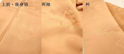 平和屋着物▼上質な小紋　地紋起こし　雲取り草花　暈し染　正絹　逸品　DABL2245fe