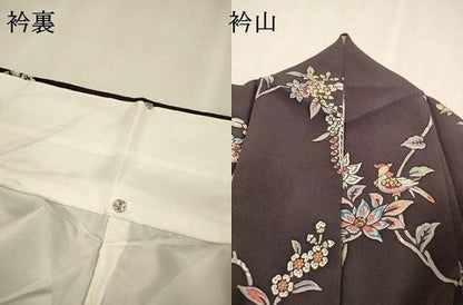 平和屋着物●訪問着　舞蝶花鳥文　鬼しぼ縮緬　正絹　逸品　DABL2360fe