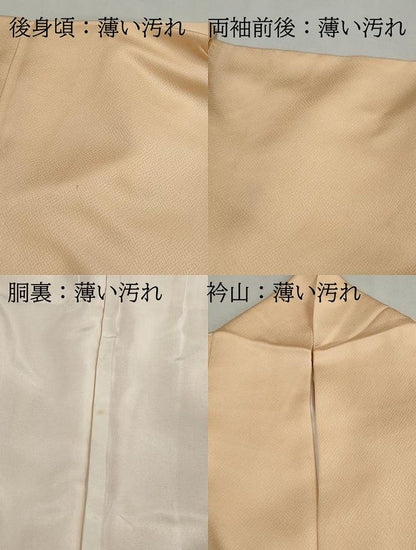 平和屋着物■訪問着　手描き　風景文　正絹　逸品　DABL3016qa