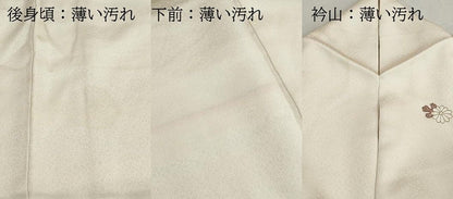 平和屋着物■訪問着　駒刺繍　立波花松文　暈し染め　金彩　正絹　逸品　DABL3020qa