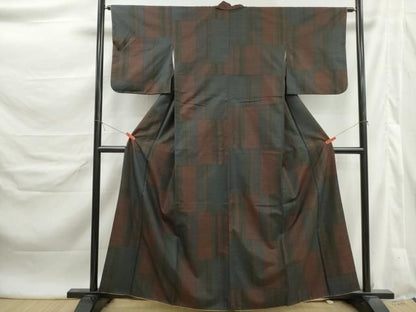 平和屋着物■本場大島紬　抽象間道　正絹　逸品　DABL3036qa