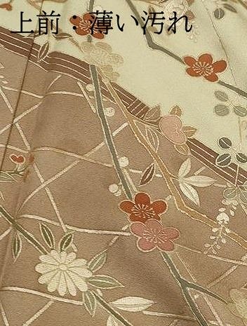 平和屋着物●訪問着　籬枝花松文　暈し染め　金彩　正絹　逸品　DABL3131qa