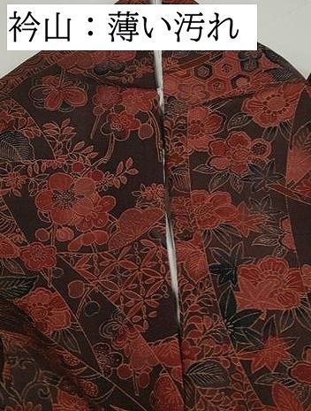 平和屋着物■上質な小紋　鬘帯花文　鬼しぼ縮緬　正絹　逸品　DABL3163qa
