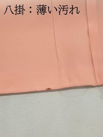 平和屋着物■上質な小紋　地紋起こし　枝花文　正絹　逸品　DABL3179qa