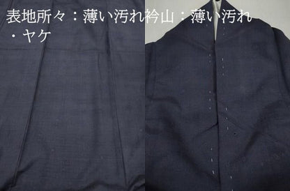 平和屋着物■上質な紬　霞文　青褐色　正絹　逸品　DABL3208qa