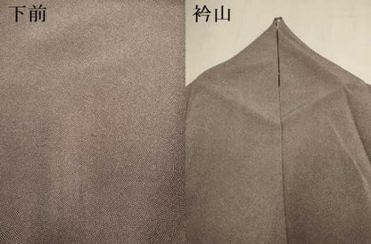 平和屋着物●江戸小紋　鮫小紋柄　正絹　逸品　DABL3533du