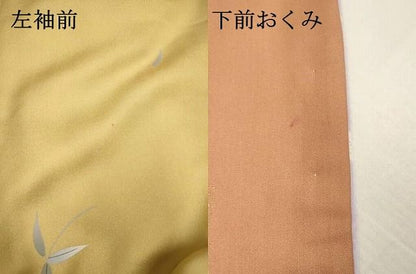 平和屋本店●お引きずり・お引き摺り　訪問着　和装　舞台　舞妓　芸妓　芸者　衣装　笹竹花蝶文　暈し染め　金彩　逸品　DABL4313cd