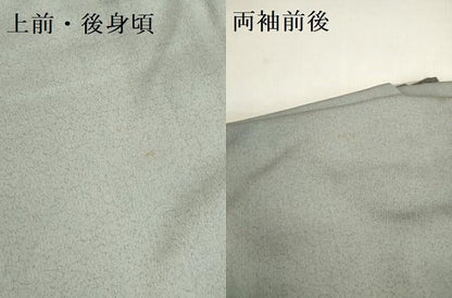 平和屋着物●訪問着　駒刺繍　花松文　暈し染め　金銀彩　正絹　逸品　DABL9052op