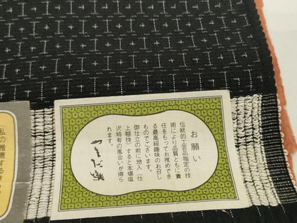 平和屋着物●極上　本塩沢　反物　着尺　やまだ織　雪の中のきれ　110亀甲　亀甲柄　柔原タツノ作　証紙付き　逸品　未使用　DZAA12222kh6