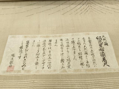 平和屋着物●極上　夏物　絹芭蕉　反物　着尺　抽象柄　証紙付き　逸品　未使用　DZAA12227kh6