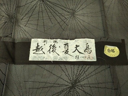 平和屋本店■極上　夏物　越後夏大島物語　伝統工芸士　白川貞夫　十日町白新染織謹製　若松葉　証紙付き　逸品　DZAA1762kh4 - 平和屋