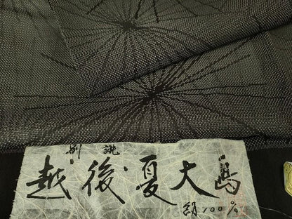 平和屋本店■極上　夏物　越後夏大島物語　伝統工芸士　白川貞夫　十日町白新染織謹製　若松葉　証紙付き　逸品　DZAA1762kh4 - 平和屋
