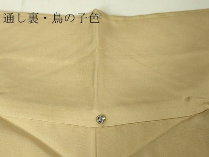 平和屋本店■極上　インド・アッサム　野蚕糸　手織　ムガシルク　逸品　DZAA1944kh4 - 平和屋