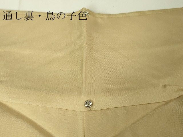 平和屋本店■極上　インド・アッサム　野蚕糸　手織　ムガシルク　逸品　DZAA1944kh4 - 平和屋