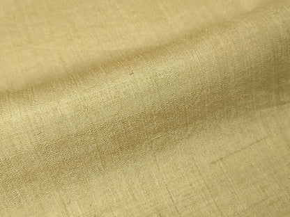 平和屋本店■極上　インド・アッサム　野蚕糸　手織　ムガシルク　逸品　DZAA1944kh4 - 平和屋