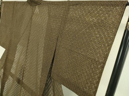 平和屋本店■極上　夏物　お召　レース　縫い取り　花尽くし　綿　鶯茶色地　逸品　DZAA2411kh4 - 平和屋