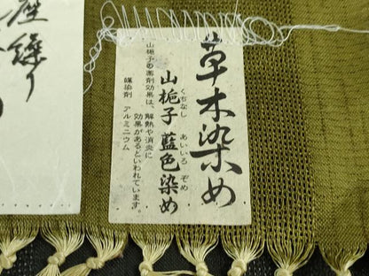 平和屋本店■極上 夏物 十日町 名門青柳謹製 櫛引織 赤城紬 草木染 訪問着 手座繰 ぜんまい紬 山梔子色 藍色染 証紙付き 逸品　DZAA2710kh5 - 平和屋