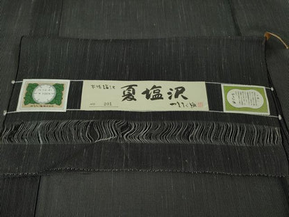 平和屋本店＊極上　夏物　男性　本塩沢　夏塩沢　やまだ織　縞　黒地　証紙付き　逸品　DZAA4009kh6