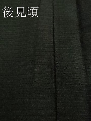 平和屋本店▽極上 男性 長羽織 紗 スリーシーズン 春夏秋 塵除け 蝉色地 逸品 DZAA4144kh5