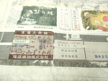 平和屋本店●極上　都喜ヱ門　本場大島紬　白大島　藤白泥　花ある人　藤絹織物謹製　証紙付き　逸品　DZAA4488kh6
