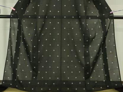 平和屋本店＊極上 夏物 銀座もとじ 紗紬 色紙文 黒地 逸品 DZAA4979kh5