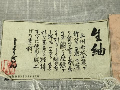 平和屋本店■極上　染織の名門　しょうざん  生紬　訪問着　単衣　草木染　吉祥花文　証紙付き　逸品　DZAA5002kh5
