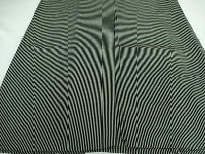 平和屋着物＊極上 夏物 男性 創業100年 毘龍織 安部吉 行灯袴 絽 縞 逸品 DZAA5246kh6