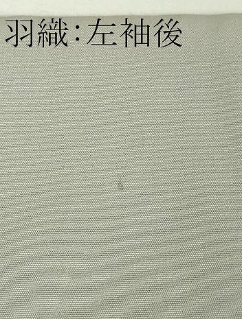 平和屋本店■極上　男性　色紋付　羽織セット　白鼠色　逸品　DZAA5534kh5