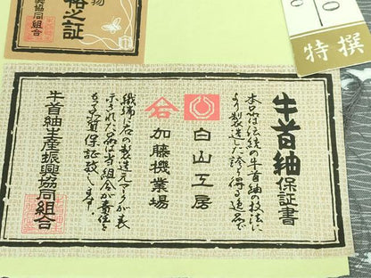 平和屋着物●極上　石川県指定無形文化財　牛首紬　白山工房　手織り　全通柄袋帯　霞文　上代126万　証紙・タグ付き　逸品　DZAA5814kh6