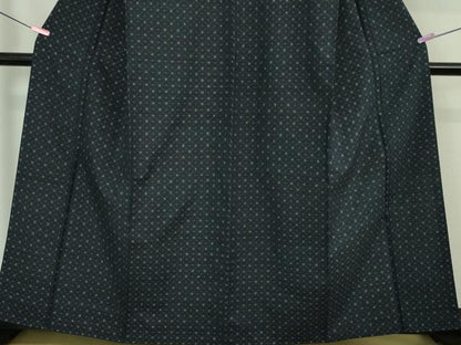 平和屋本店■極上　本場琉球　琉球花織　紬　手おり　大城永光作　証紙付き　逸品　DZAA6225kh5
