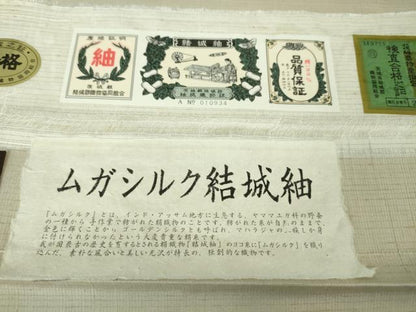 平和屋本店■極上　インド・アッサム　野蚕糸　手織　ムガシルク　結城紬　訪問着　雪輪　証紙付き　逸品　DZAA6241kh5