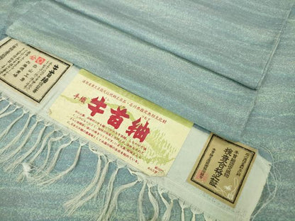 平和屋本店■極上　夏物　石川県指定無形文化財　夏牛首紬　白山工房　手織り　証紙付き　逸品　DZAA6348kh5