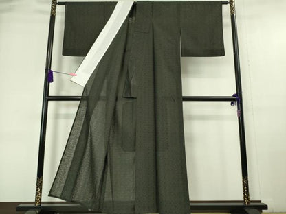 平和屋本店■極上　夏物　お召　レース　縫取り　花繋ぎ　色無地　蝉色地　逸品　DZAA6383kh5