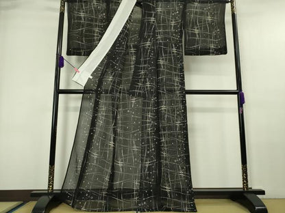 平和屋本店＊極上 夏物 絹芭蕉 紗紬 蜻蛉 とんぼ 黒地 逸品 DZAA6436kh5