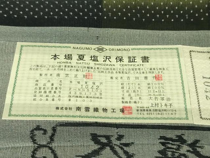 平和屋本店■極上　夏物　本塩沢　夏塩沢　飛白時雨　蝉羽の衣　南雲織物謹製　証紙付き　逸品　DZAA6811kh5