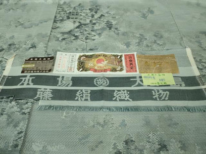 平和屋着物■極上　都喜ヱ門　本場大島紬　単衣　清水寺朝景色　畑仲別織　藤絹織物謹製　証紙付き　逸品　未使用　DZAA6821kh5