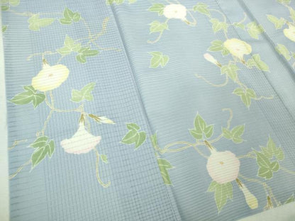 平和屋着物＊極上 夏物 小紋 朝顔 逸品 DZAA6916kh5
