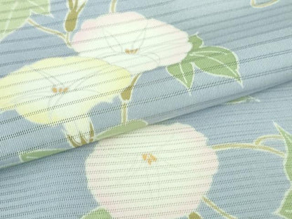 平和屋着物＊極上 夏物 小紋 朝顔 逸品 DZAA6916kh5